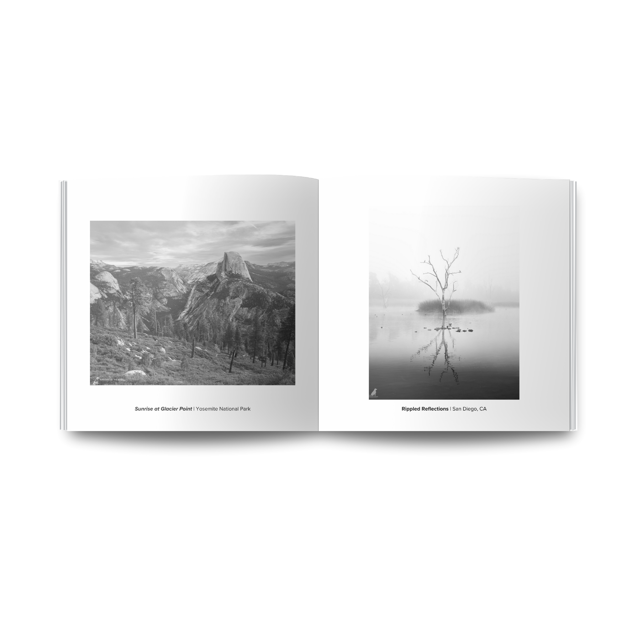 Images from Nature Black and White Fine Art Photo Book — Andrew